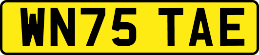 WN75TAE