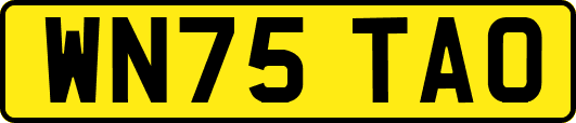 WN75TAO