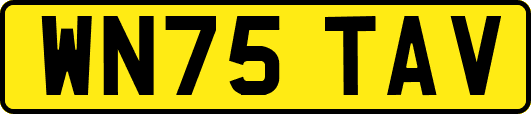 WN75TAV