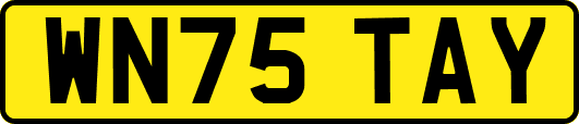 WN75TAY