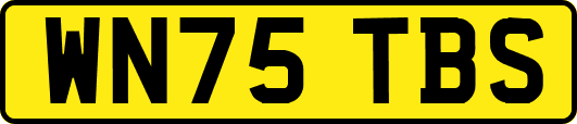 WN75TBS