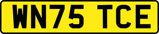 WN75TCE