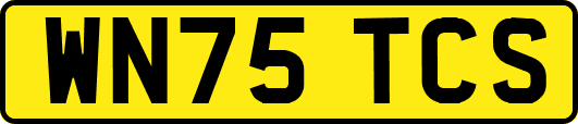 WN75TCS