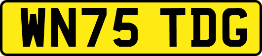 WN75TDG