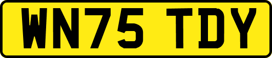 WN75TDY