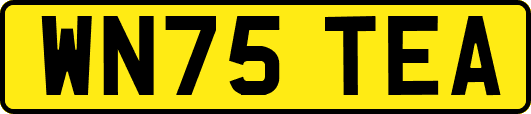 WN75TEA