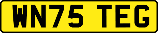 WN75TEG