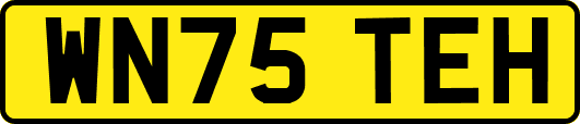 WN75TEH