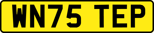 WN75TEP