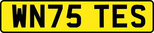 WN75TES