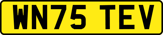 WN75TEV