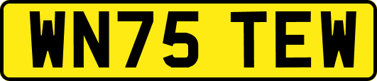WN75TEW