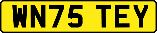 WN75TEY