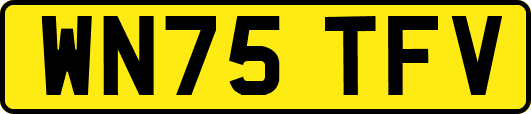 WN75TFV