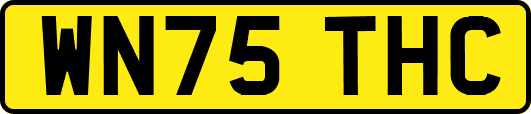WN75THC