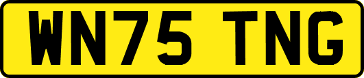 WN75TNG