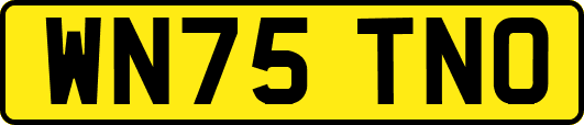 WN75TNO
