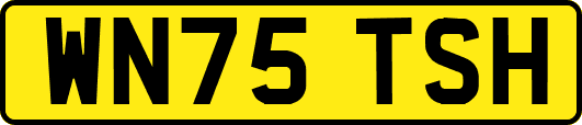 WN75TSH