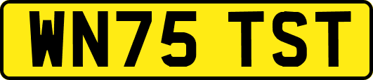 WN75TST