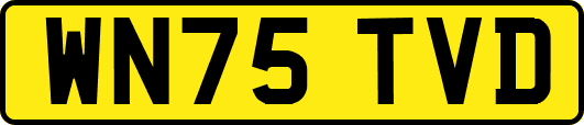 WN75TVD