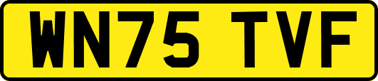 WN75TVF