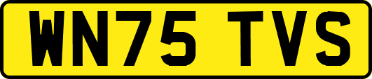 WN75TVS
