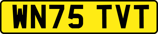 WN75TVT
