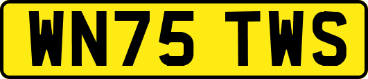 WN75TWS