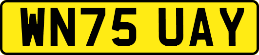 WN75UAY