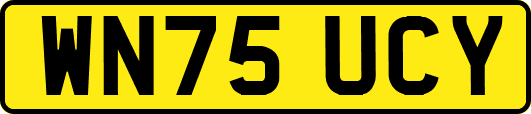 WN75UCY