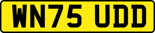 WN75UDD