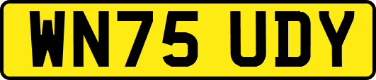 WN75UDY