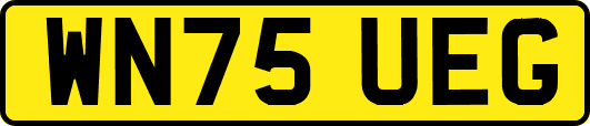 WN75UEG