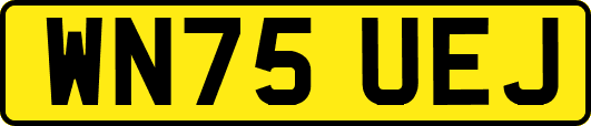 WN75UEJ