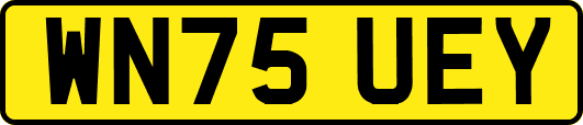 WN75UEY
