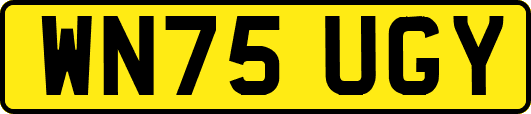 WN75UGY