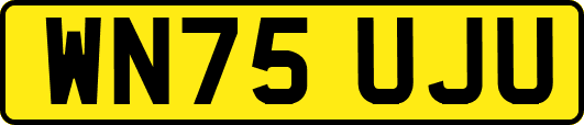 WN75UJU