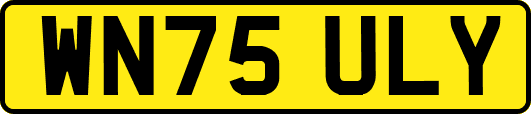WN75ULY