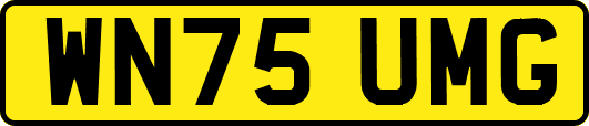 WN75UMG