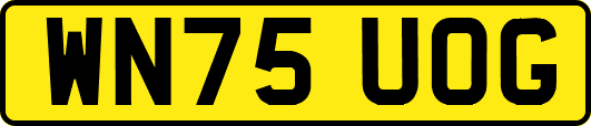 WN75UOG
