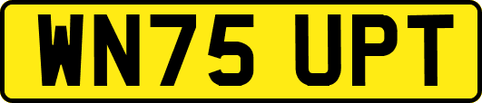 WN75UPT