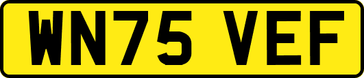 WN75VEF