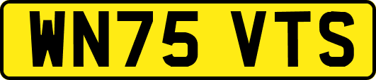 WN75VTS