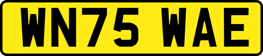 WN75WAE