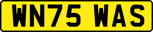 WN75WAS
