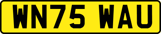 WN75WAU