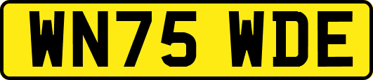 WN75WDE