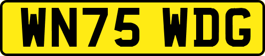WN75WDG