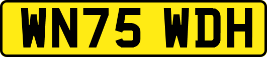 WN75WDH