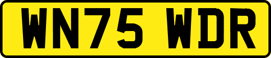 WN75WDR